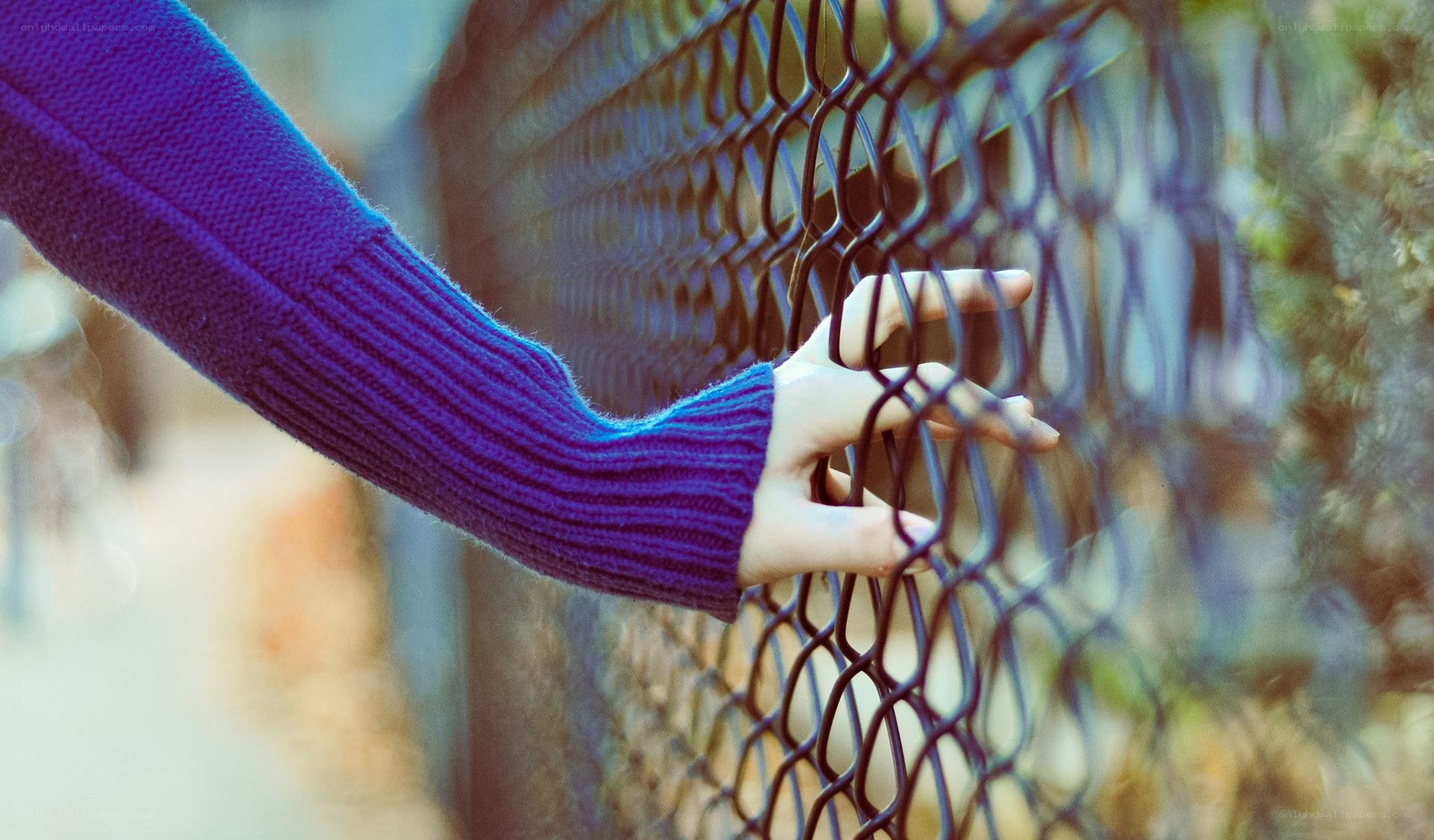 hand on chain-link fence