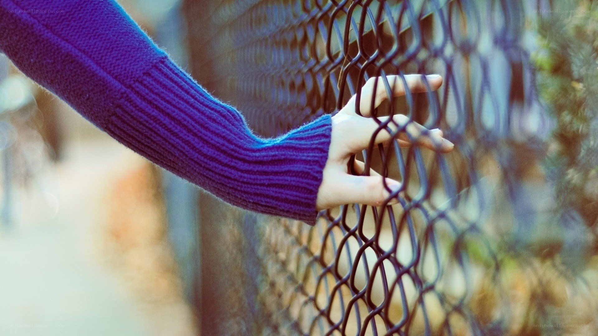 hand on chain-link fence