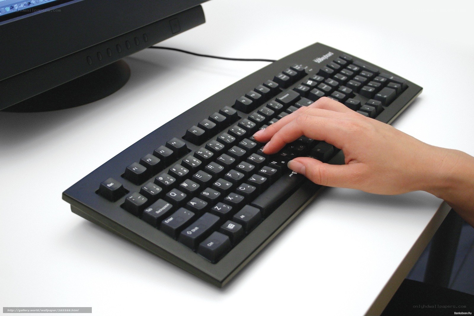 hand on computer keyboard