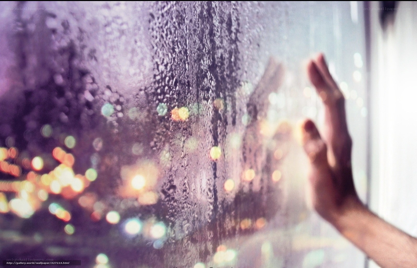 hand on rainy window