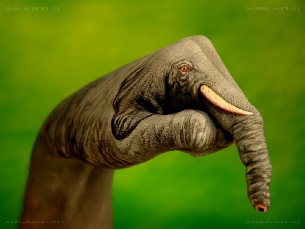hand painted as an elephant