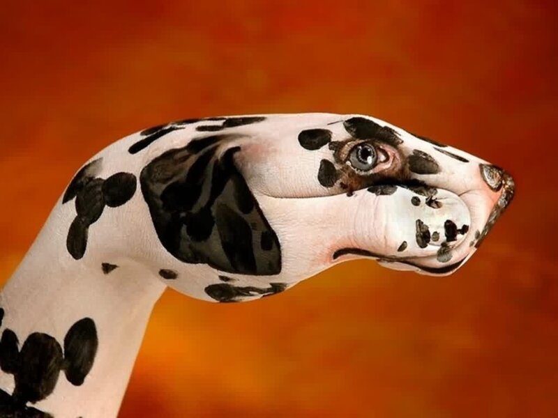 hand painted as dalmatian