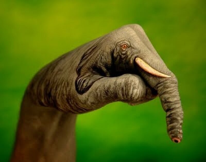 Hand Painted as Elephant — Green, Creative, Photograph