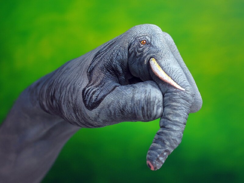 Hand Painted as Elephant — Green