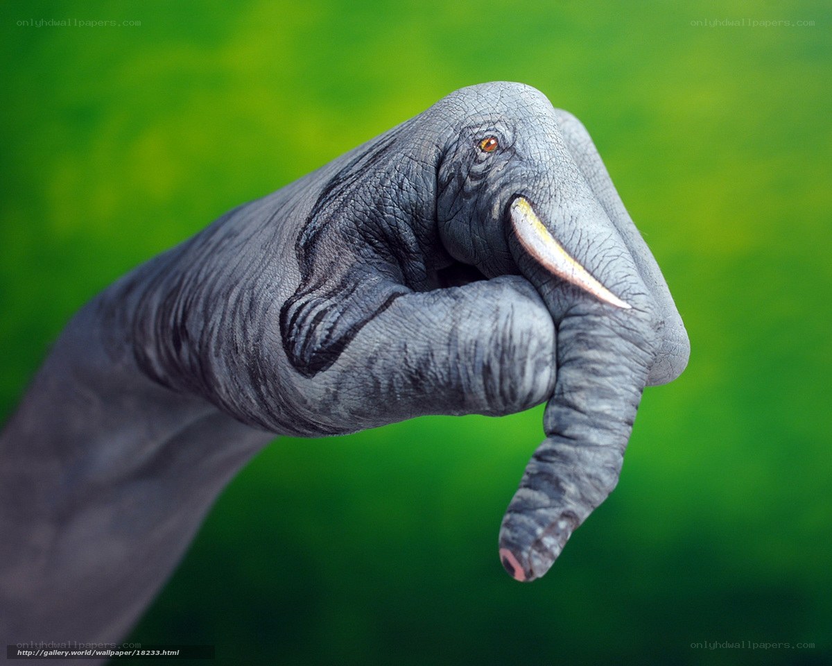 hand painted as elephant