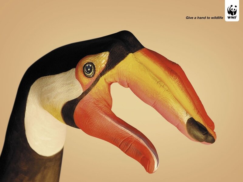 Hand painted as toucan