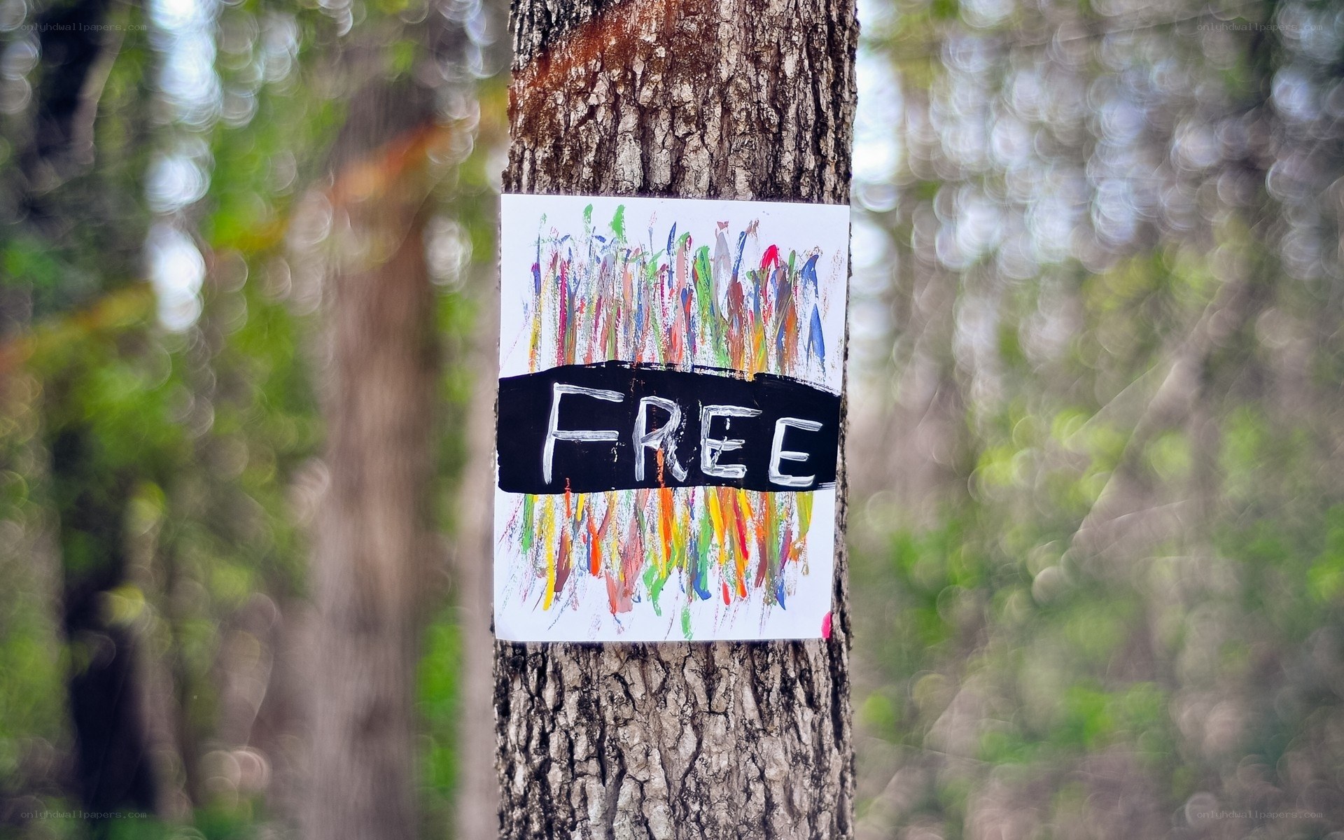 Hand-painted free sign on tree