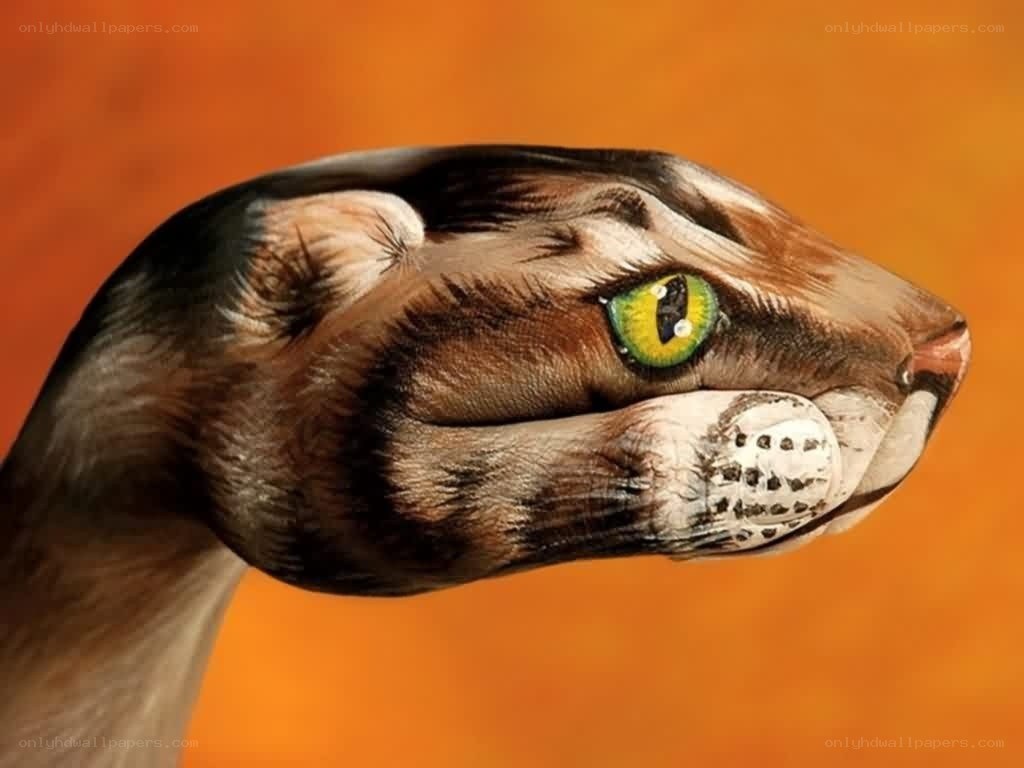 hand-painted snake face