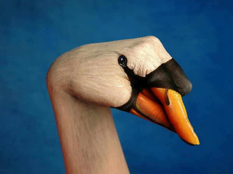 Hand-painted Swan Head