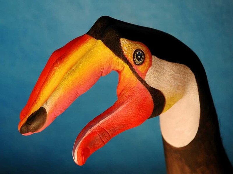 hand-painted toucan
