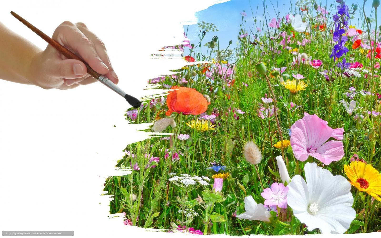 hand painting a flower field