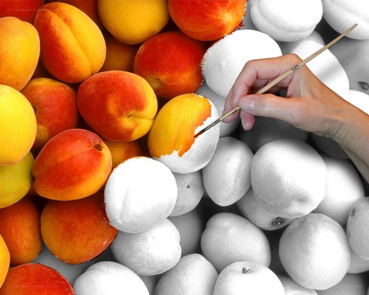 hand painting a peach
