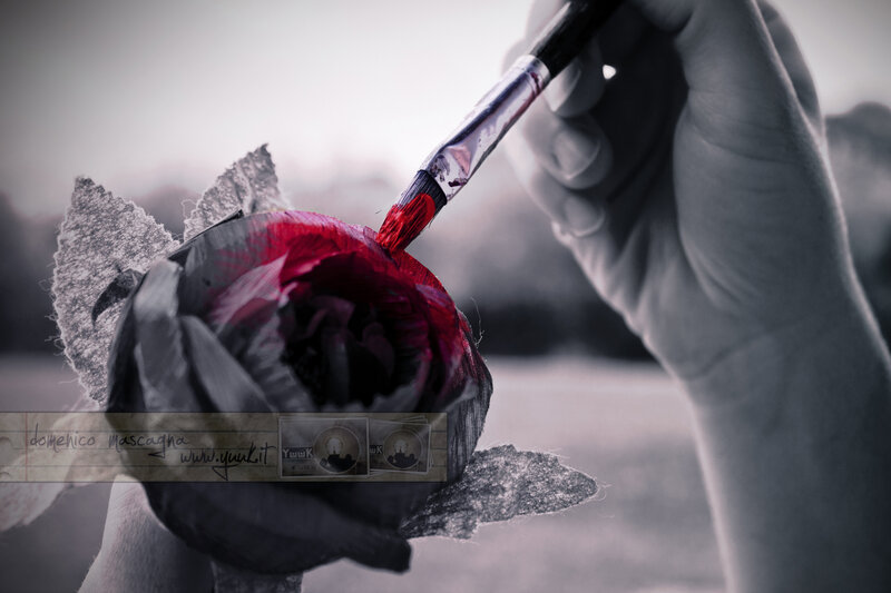 Hand Painting a Rose — Red
