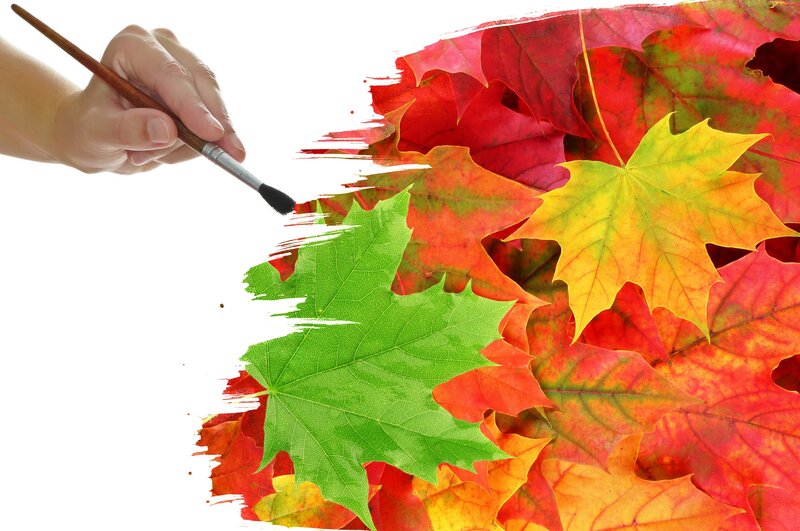 Hand Painting Autumn Leaves — Red
