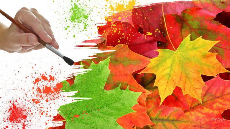 Hand Painting Autumn Leaves — Red, Vibrant