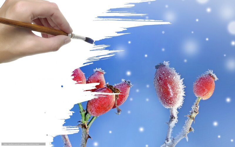 hand painting berries in winter