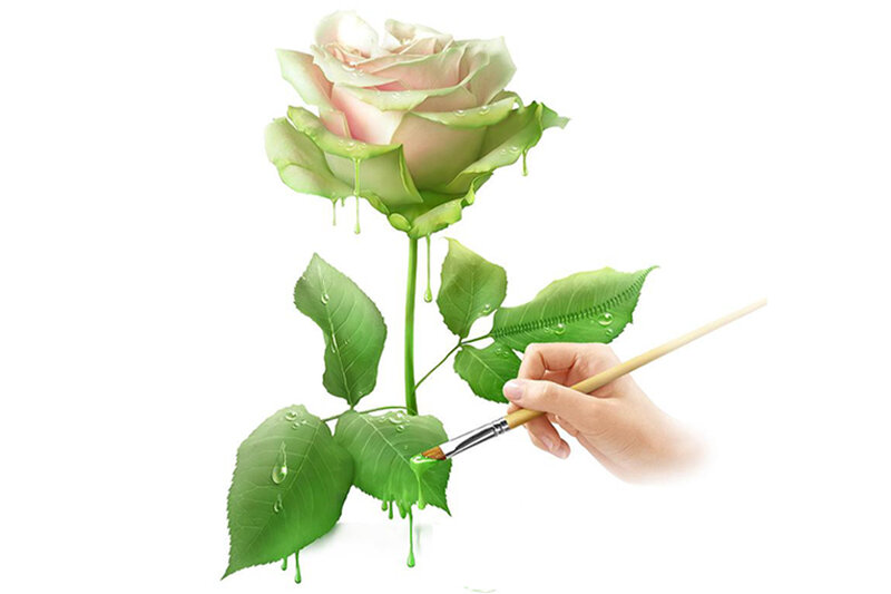 Hand Painting Rose