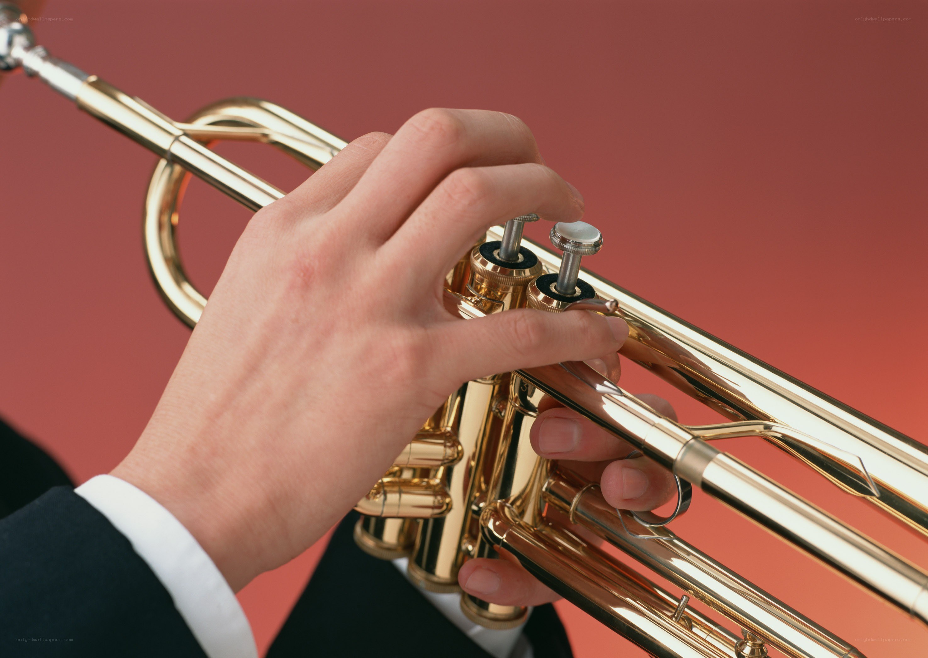 Hand playing a trumpet