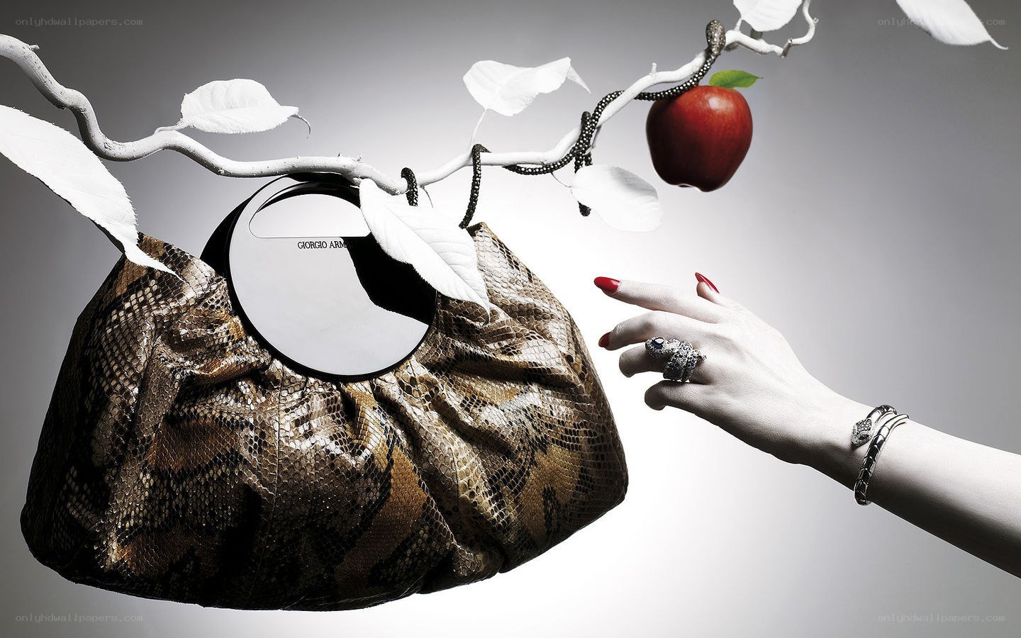 Hand reaching for apple on branch