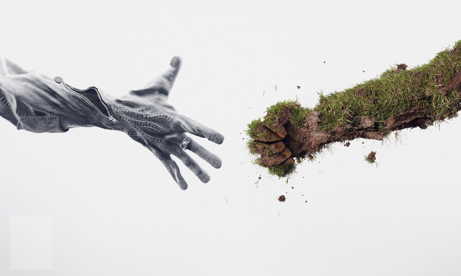 hand reaching for grassy fist