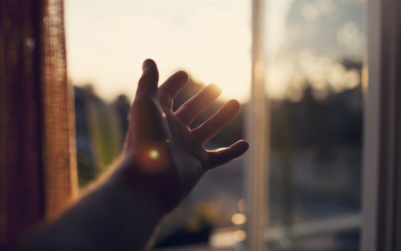 hand reaching for sunlight