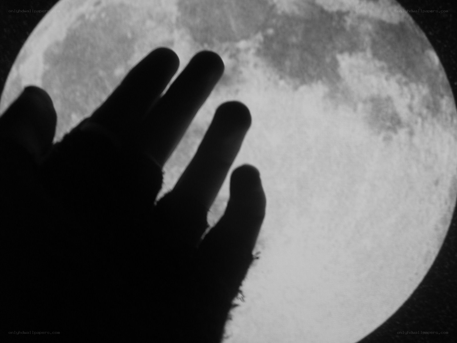 hand reaching for the moon