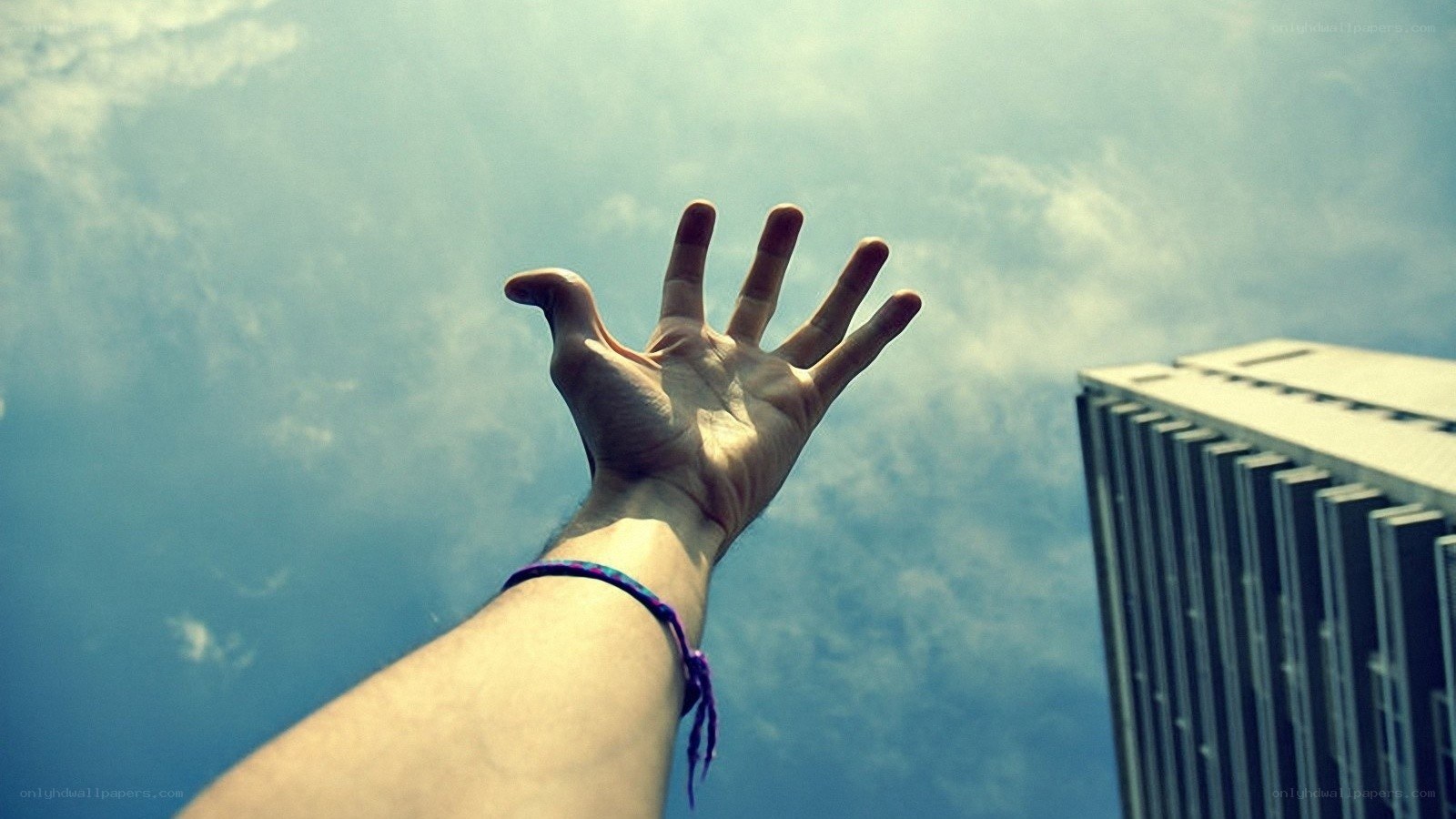 hand reaching for the sky