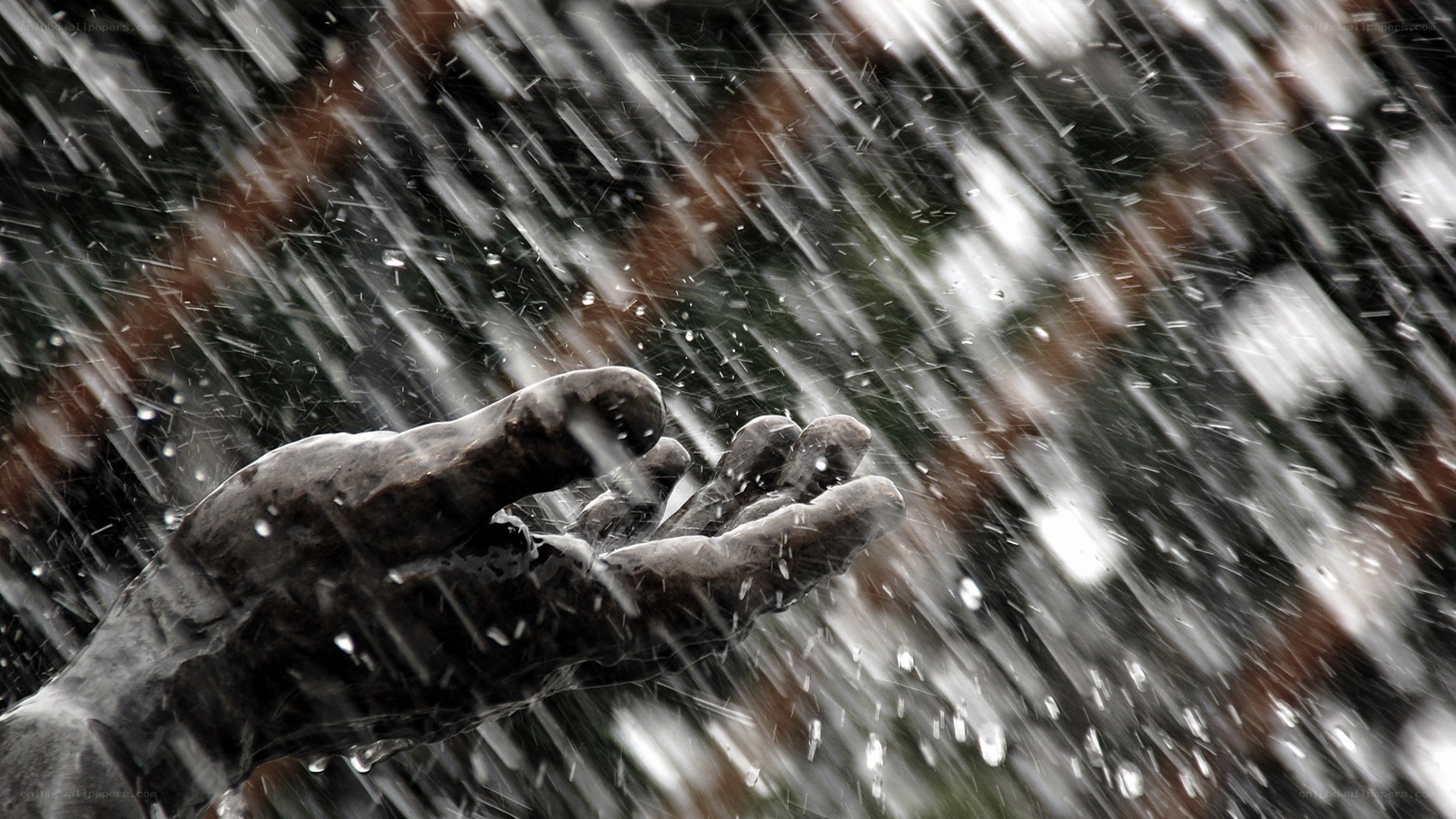 hand reaching in rain
