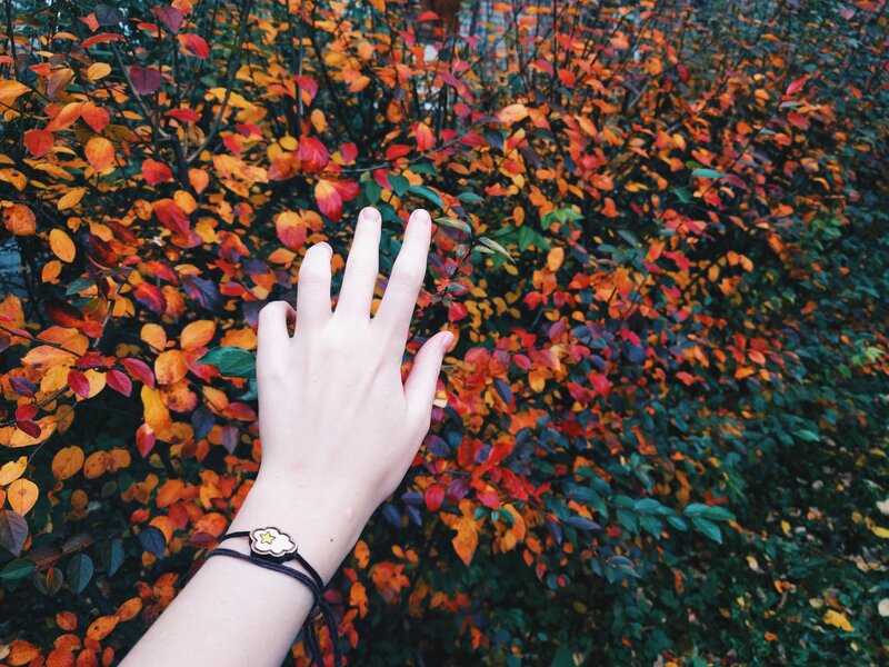 Hand Reaching Toward Autumn Leaves