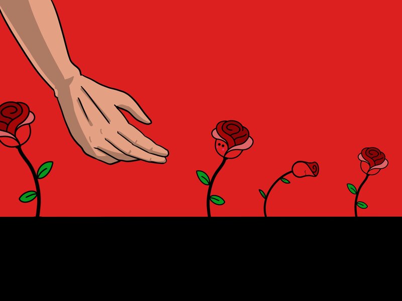 Hand Reaching Toward Roses