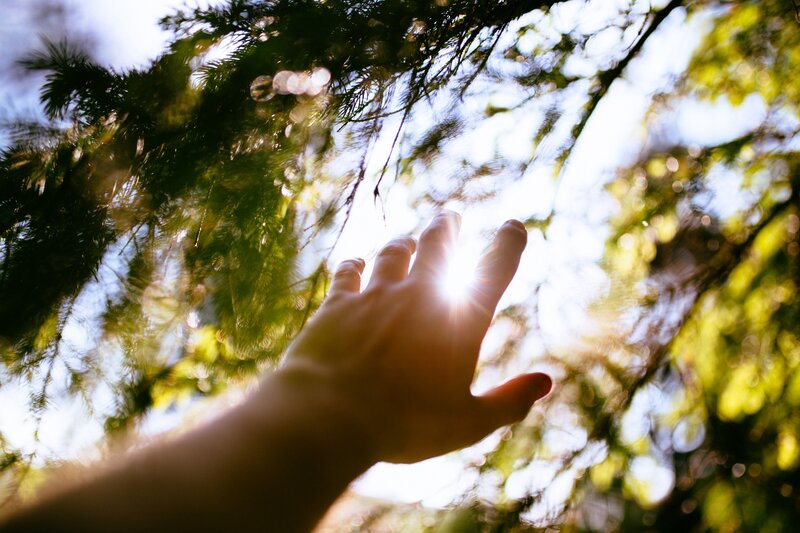 Hand Reaching Toward Sun — Green