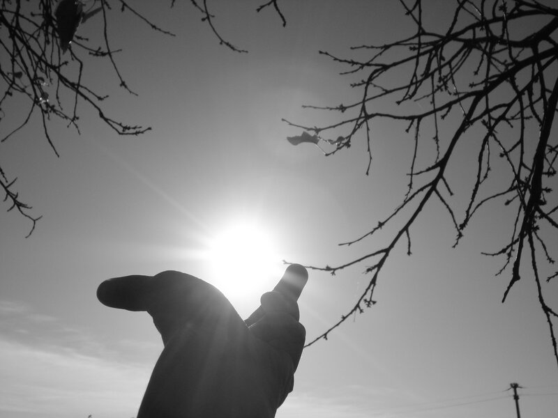 Hand Reaching Toward Sun