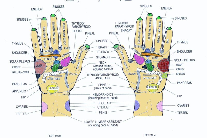 Hand reflexology chart
