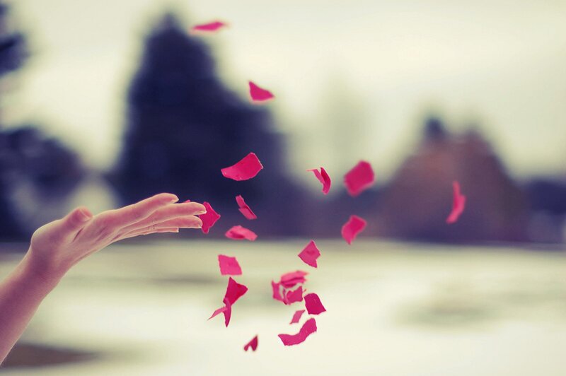 Hand Releasing Rose Petals