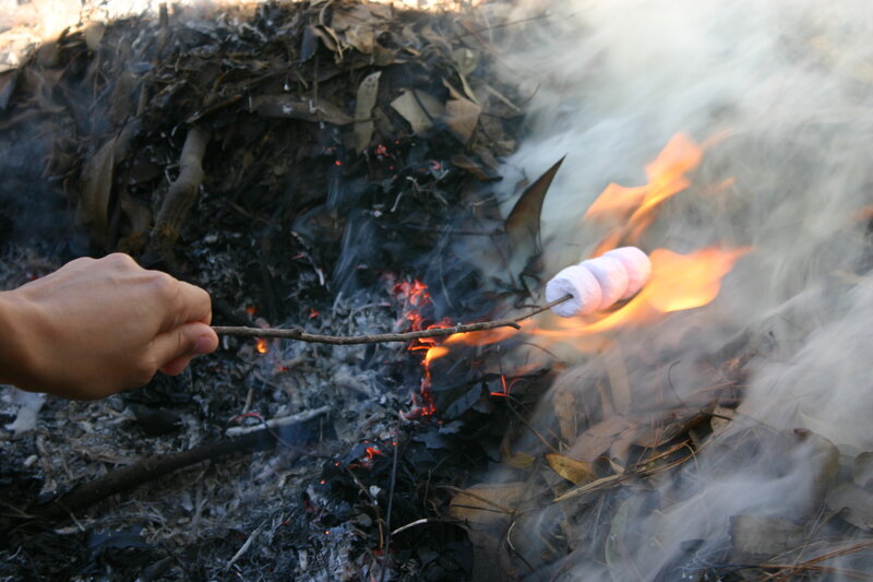 Hand Roasting Marshmallows