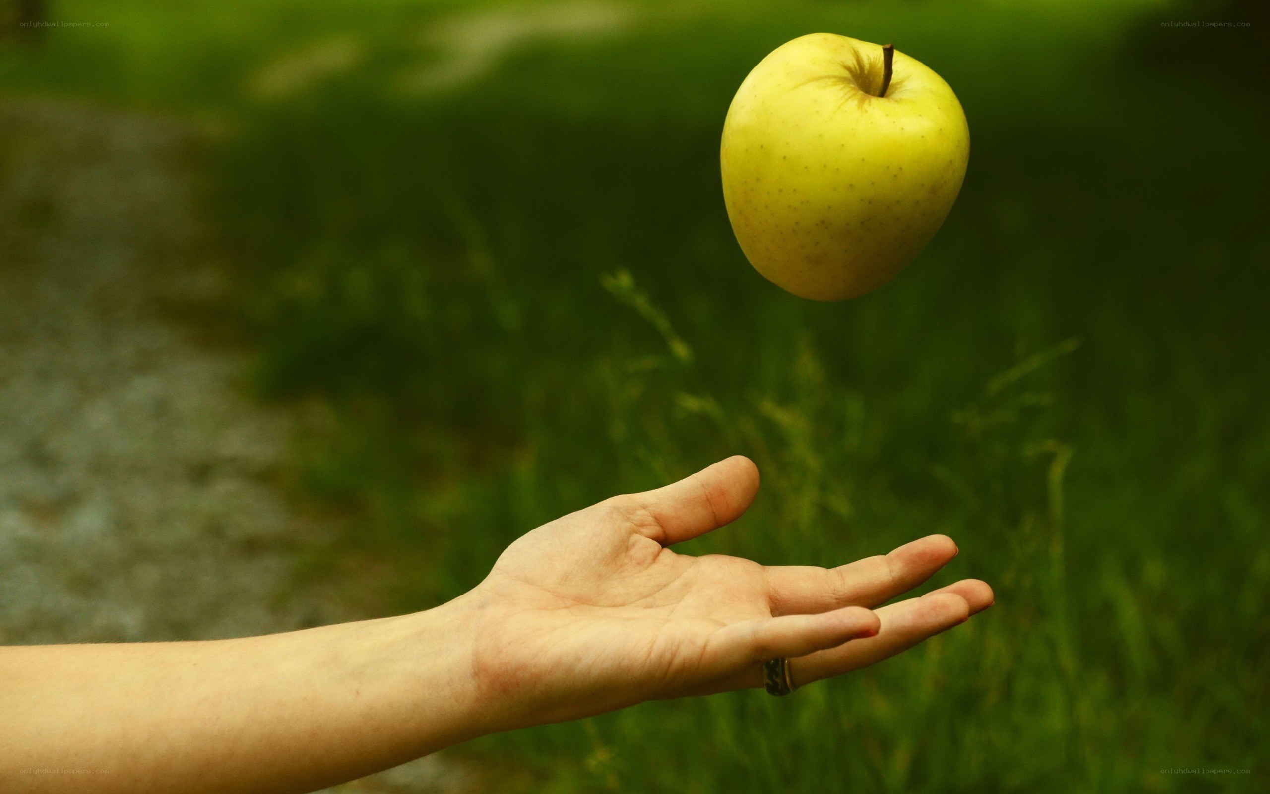 hand tossing a yellow apple