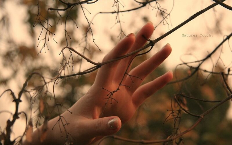Hand touching a tree branch