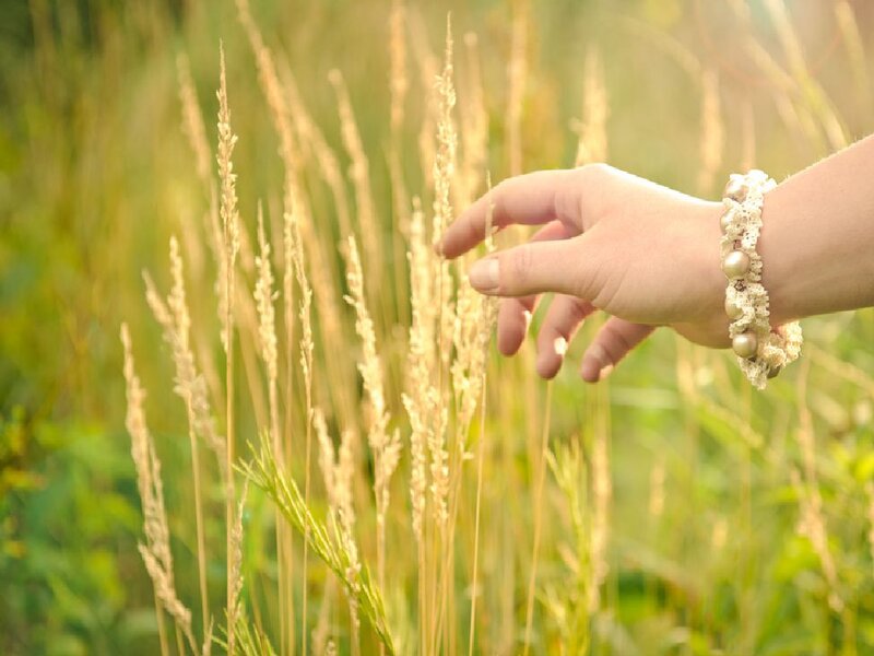 Hand Touching Grass — Green, Serene