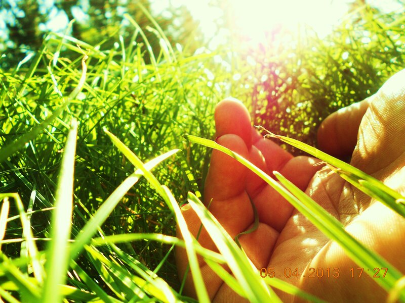 Hand Touching Grass — Green