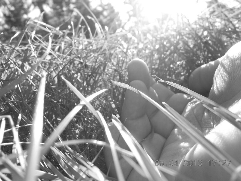 Hand Touching Grass