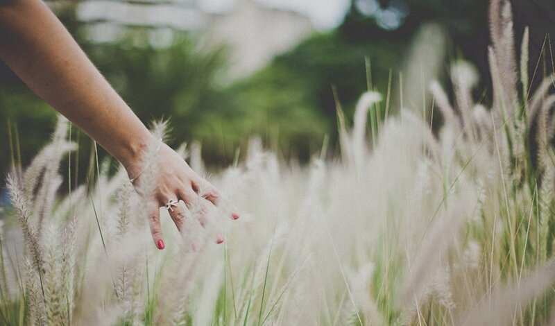 Hand Touching Grass — White