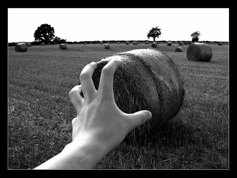 Hand Touching Hay Bale