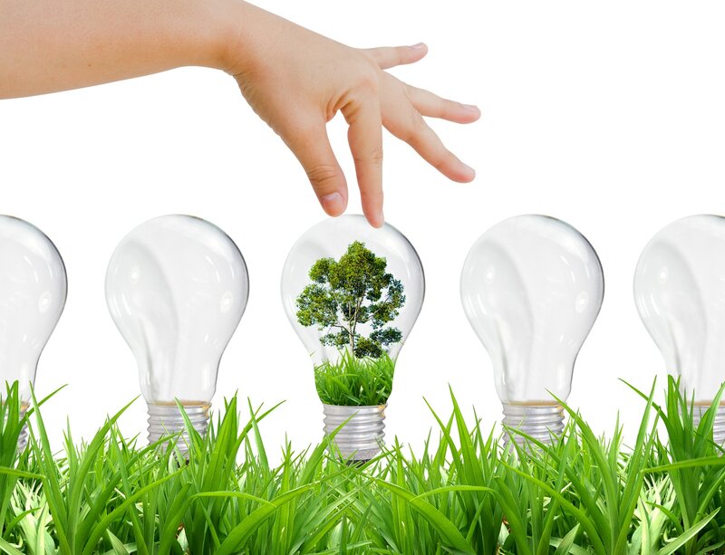 Hand Touching Light Bulb — Green
