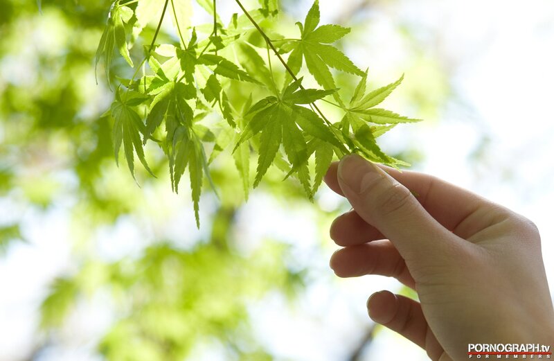 Hand Touching Maple Leaves