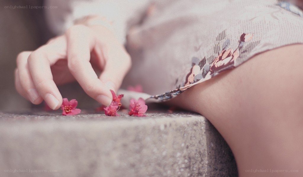hand touching pink flowers