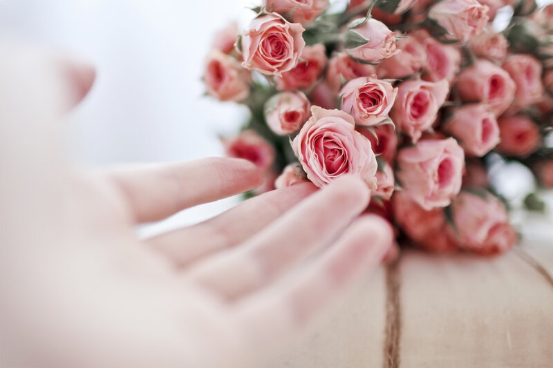Hand Touching Pink Roses — Calm