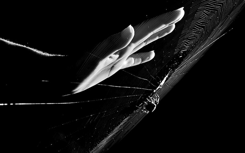 hand touching spider web