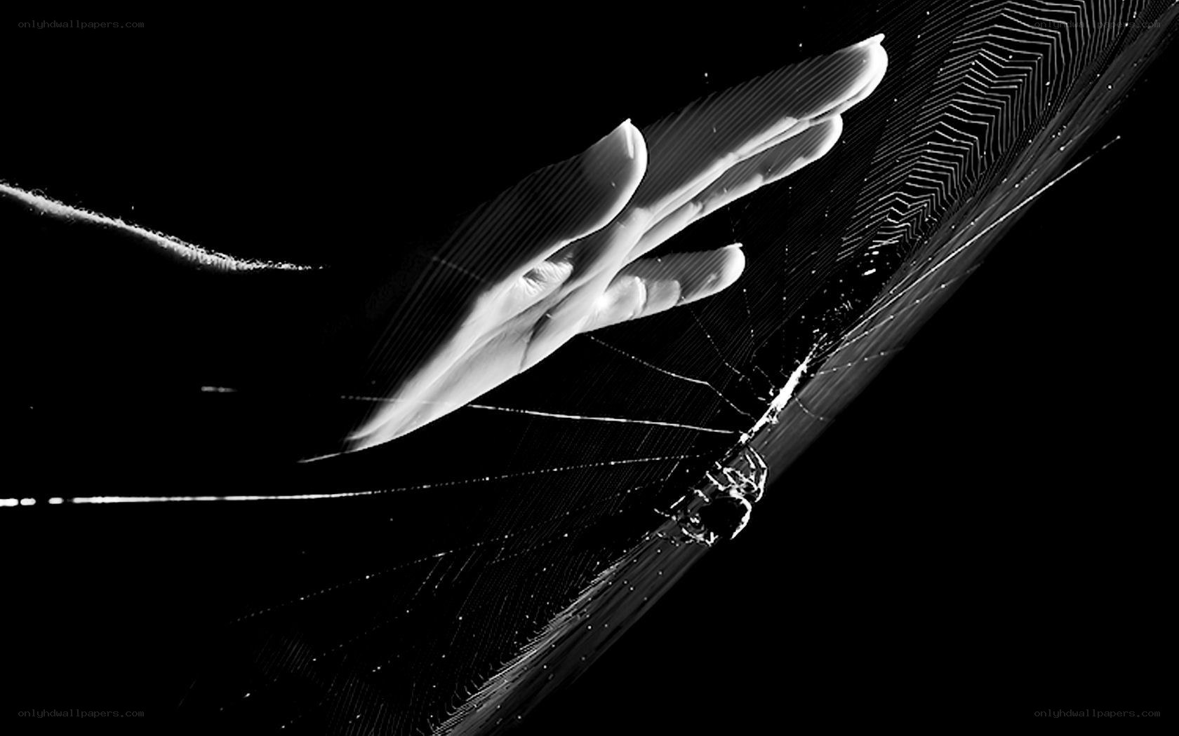 hand touching spider web