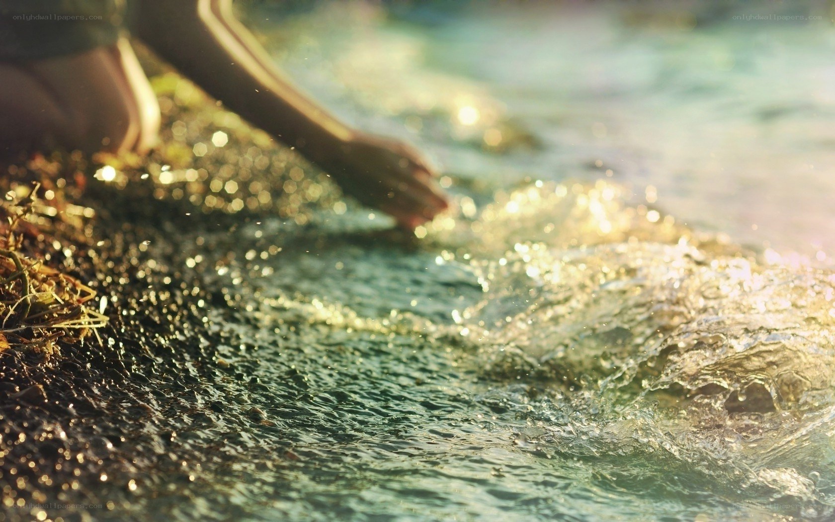 hand touching water at sunset