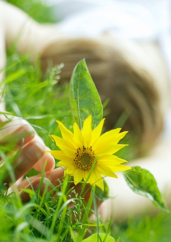 hand touching yellow flower